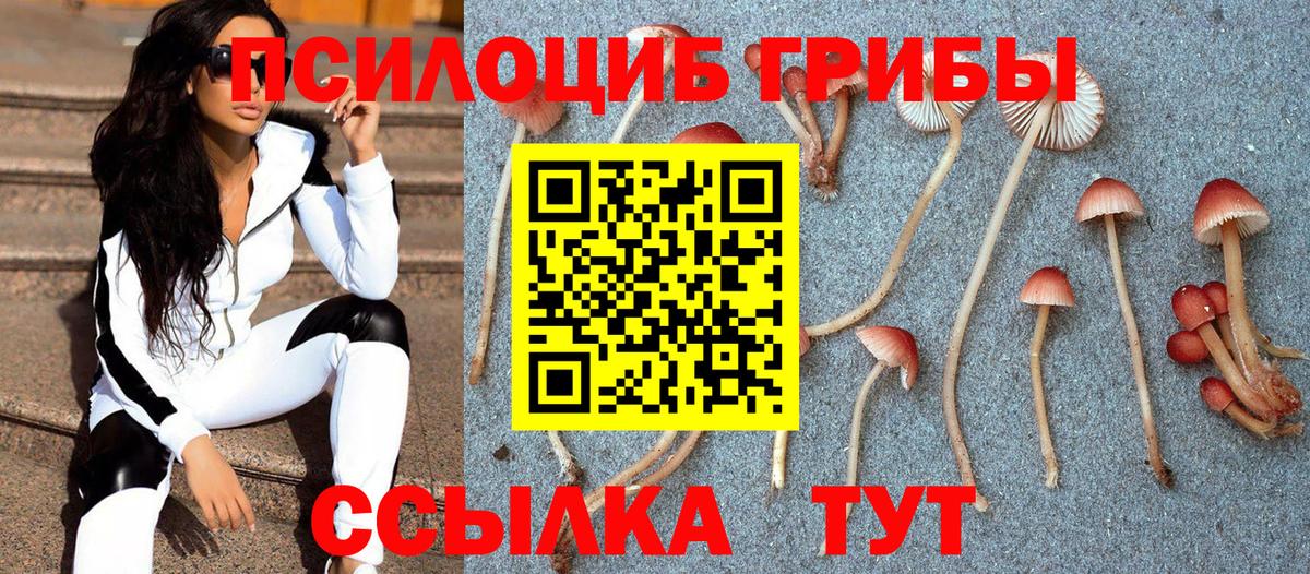 Псилоцибиновые грибы GOLDEN TEACHER Михайловск